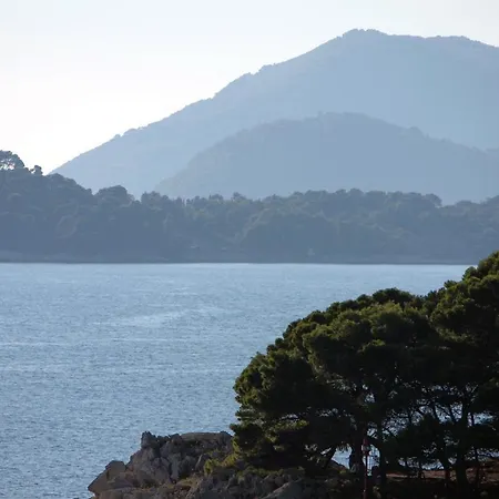 Seaside House With A Swimming Pool Stikovica, Dubrovnik - 4708 Tatil Evi *