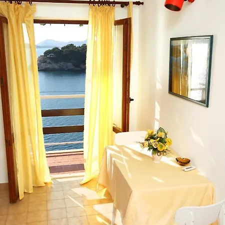 Seaside House With A Swimming Pool Stikovica, Dubrovnik - 4708 Tatil Evi